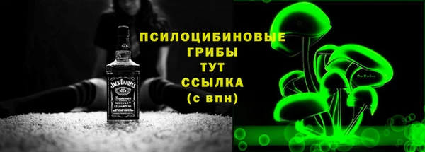 дживик Гусиноозёрск
