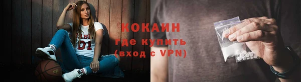 дживик Гусиноозёрск